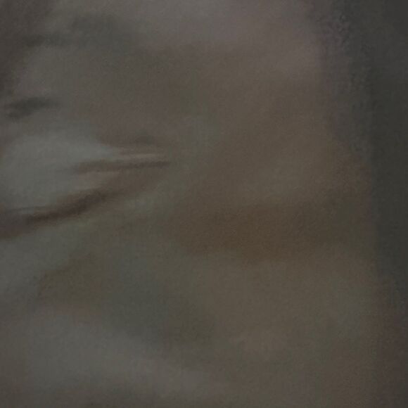 Publish Olive Jogger Pants - Picture 6 of 8